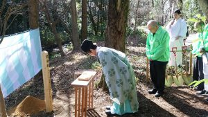 IMG_20170128_105648 4