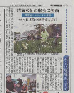 水仙狩りとクリスマス会