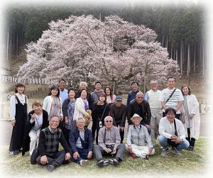 谷汲山華厳寺と根尾谷淡墨桜、野洲ＲＣ同好会の旅