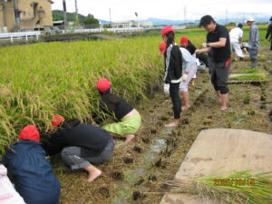 10月15日開催　青少年奉仕事業「稲刈り体験」