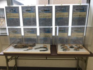 「豊かで美しい琵琶湖を未来へつなぐプロジェクト」～自然と共生する社会に向けて〜　②「水のない水族館」特別展示
