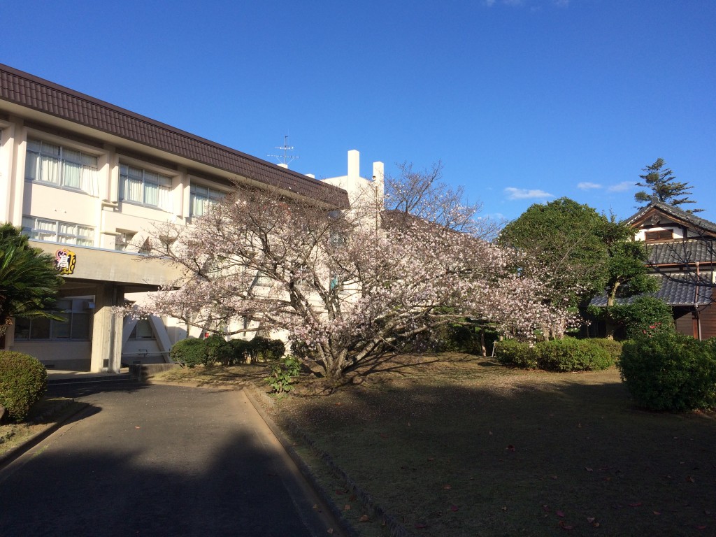 桜井ロータリークラブ創立40周年記念 事業