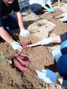 地域の子供たちと楽しく農業を知ろう