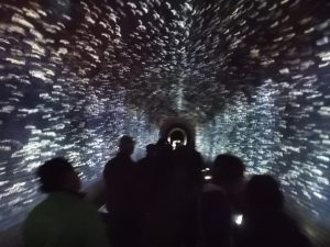 職場見学「亀の瀬地すべり対策事業見学」