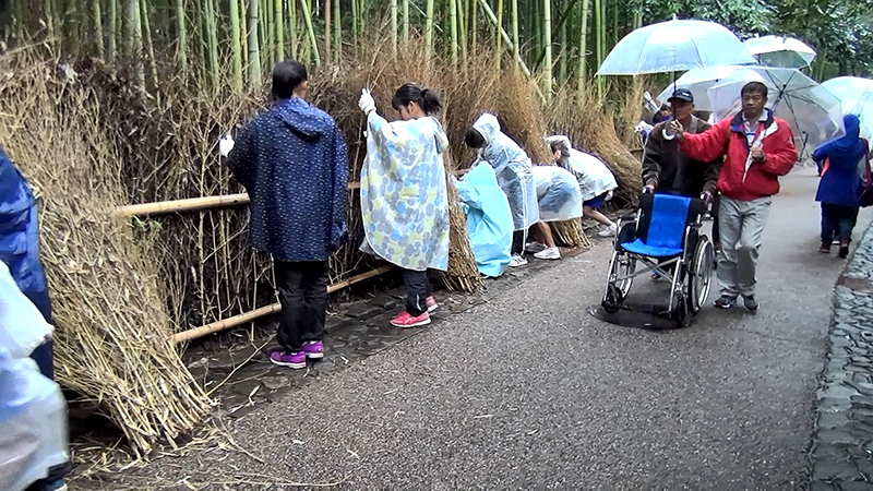 小倉山特別保存地区竹穂垣補修改善事業