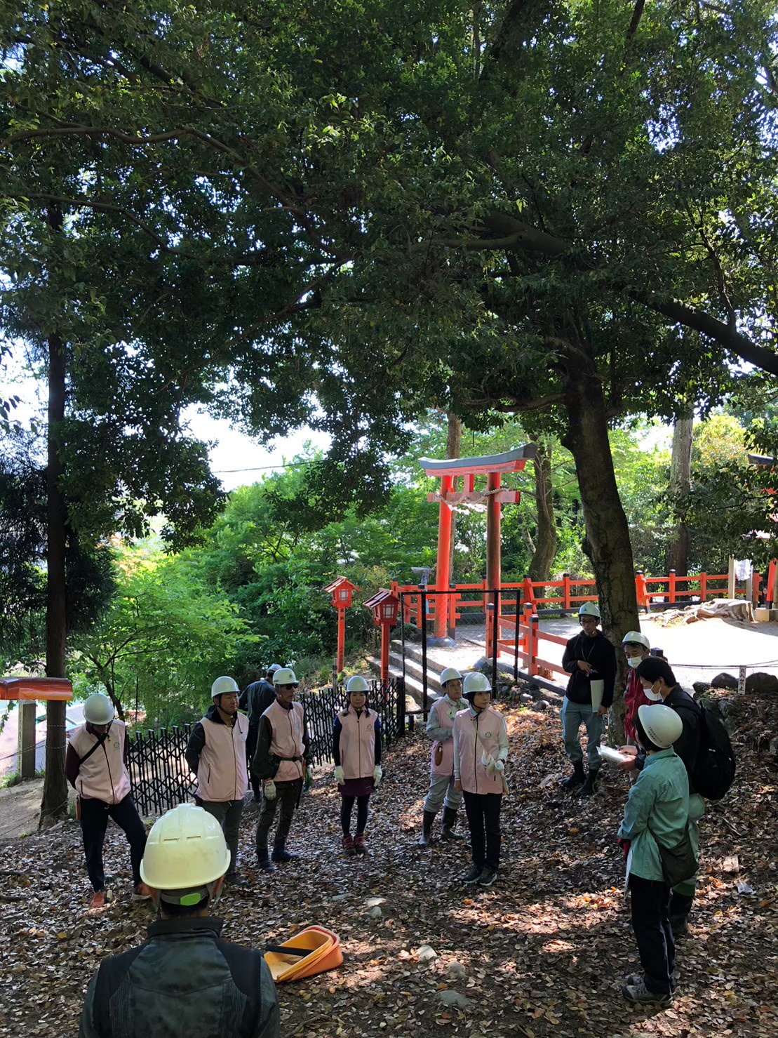 森を守るために重要な除伐活動！　〜予算はないが知恵と力があるバージョン〜