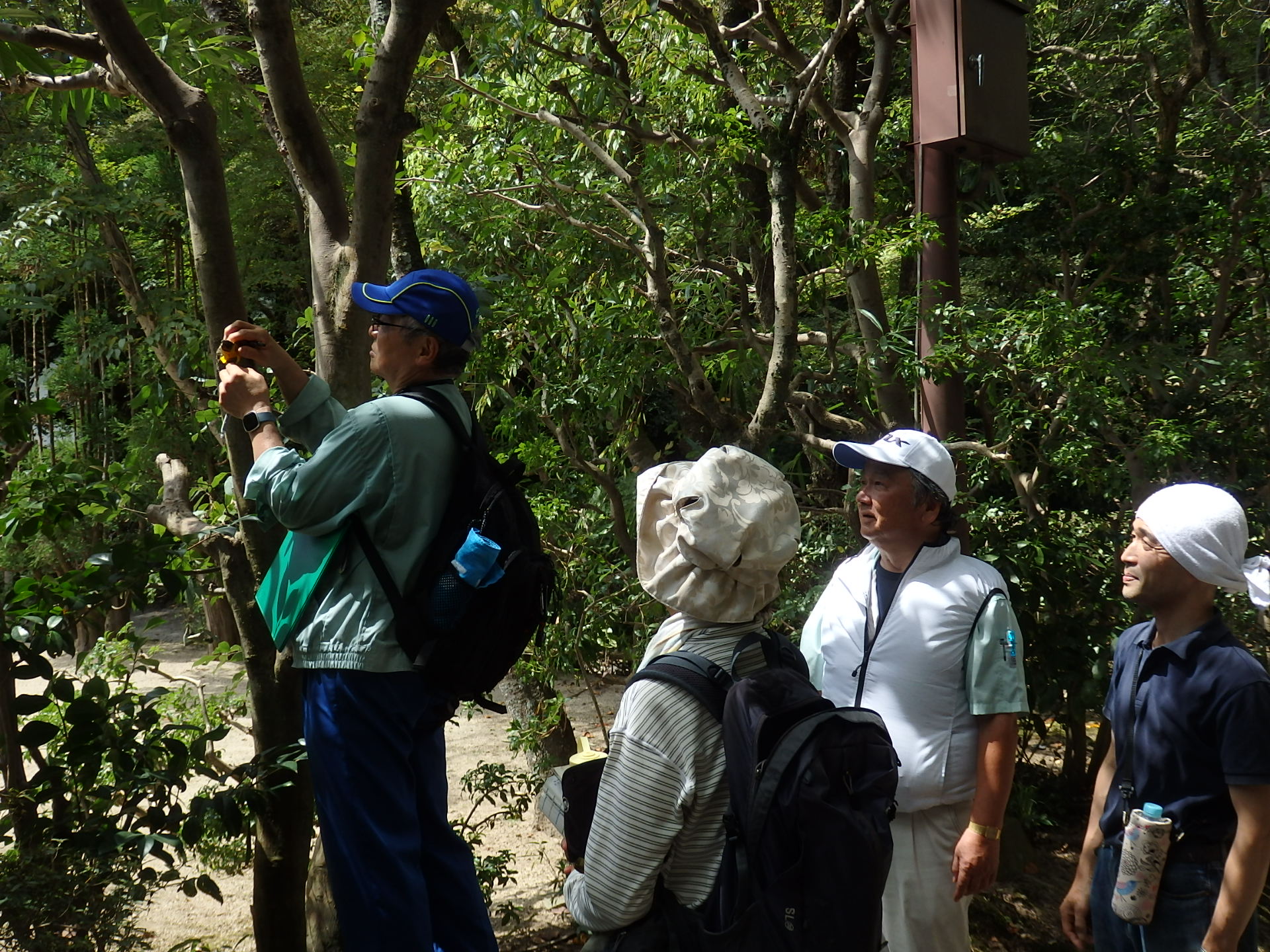 2023年9月1日（金）男山自然観察会及び環境保全