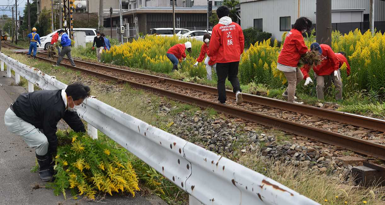 第7回　セイタカアワダチソウ駆除事業