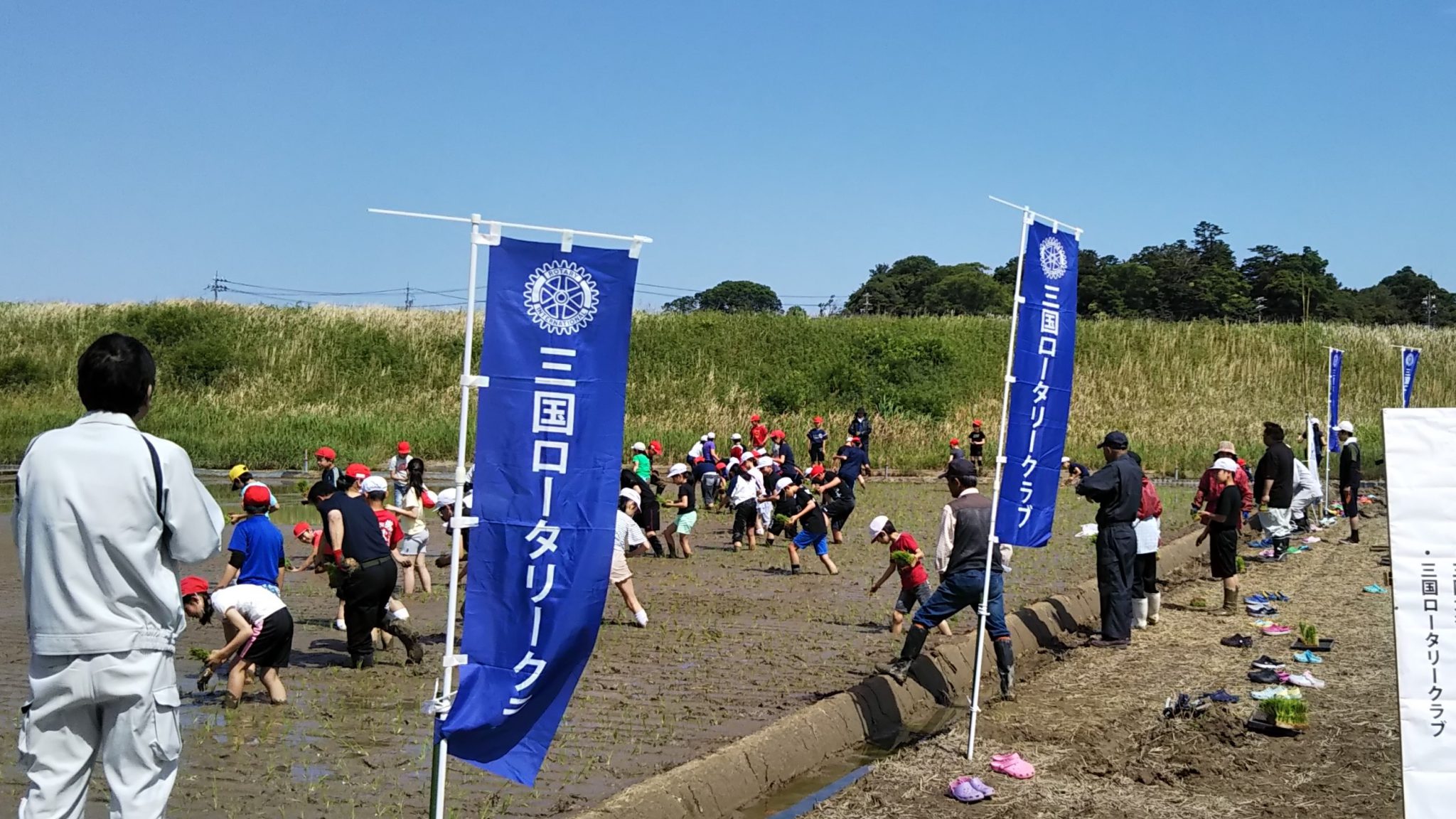 小学生の「無農薬による米作り」学習体験事業（田植え）
