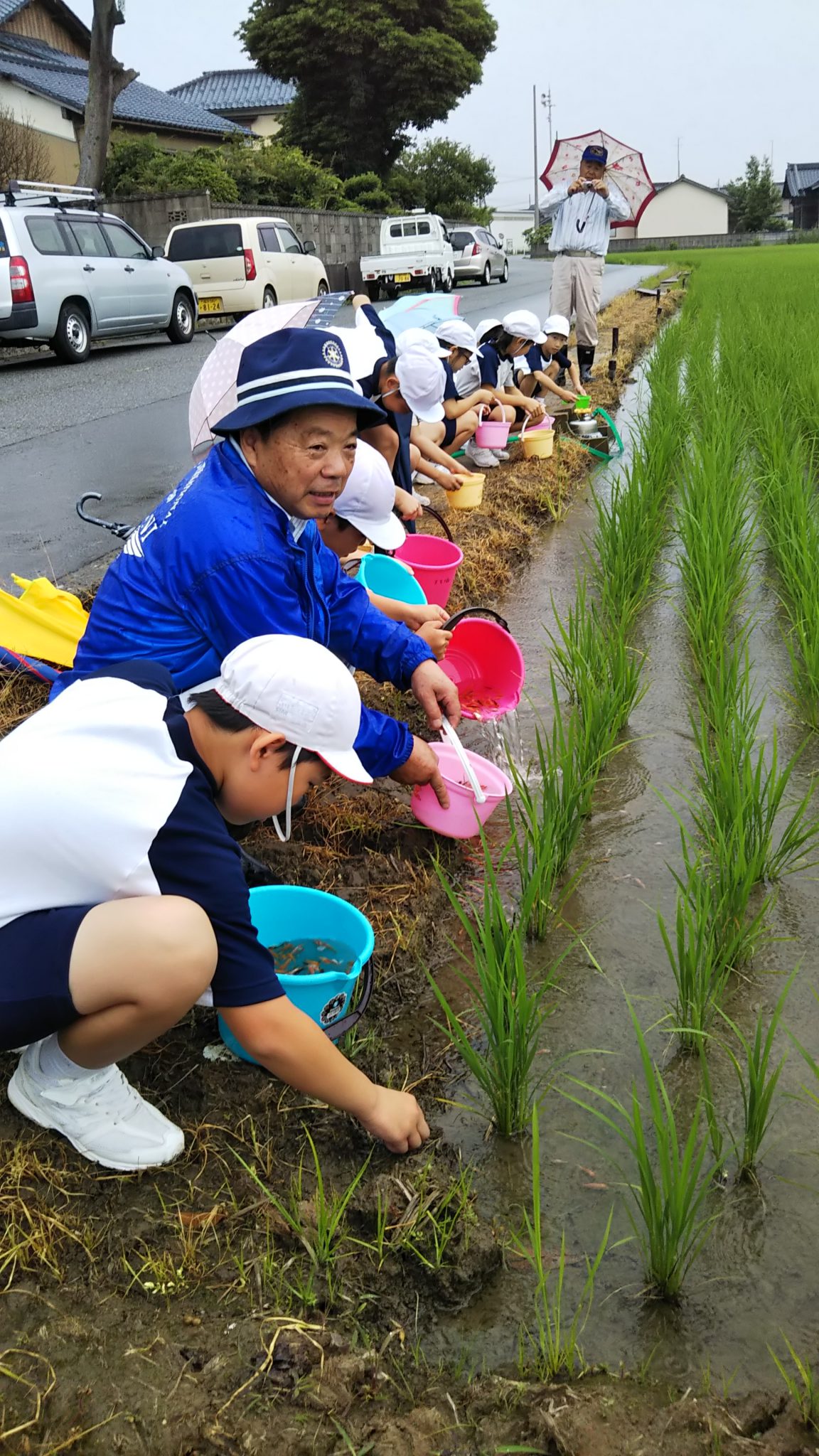 小学生の「無農薬による米作り」体験学習事業（鯉の放流）