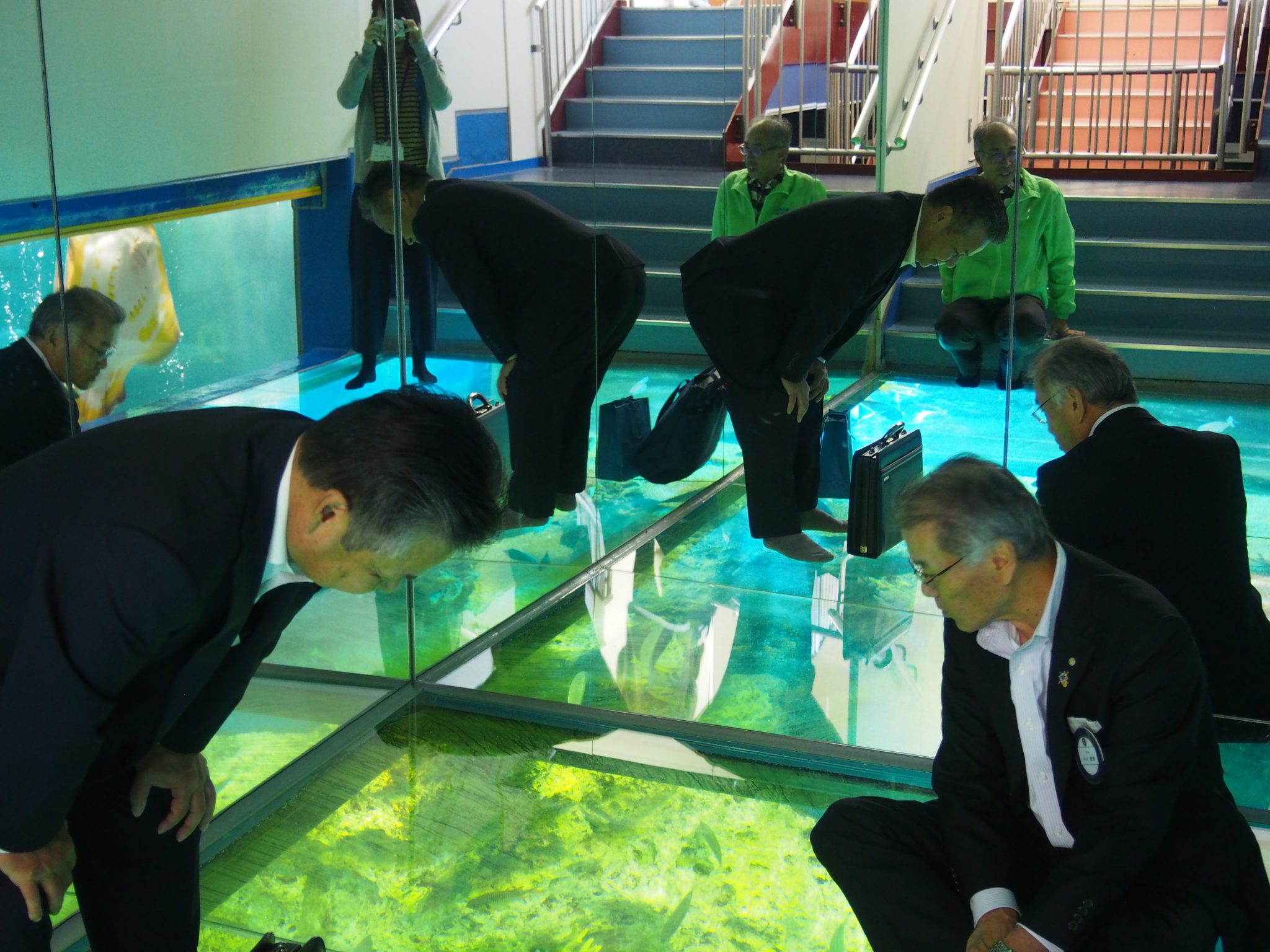「越前松島水族館」で移動例会・職場見学