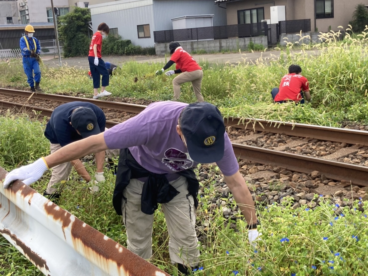 セイタカアワダチソウ駆除事業