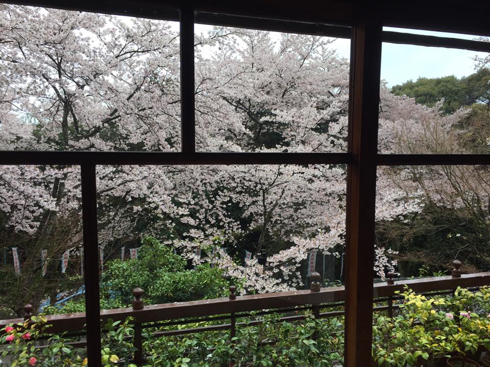 大洞弁財天長寿院にて花見例会を開催