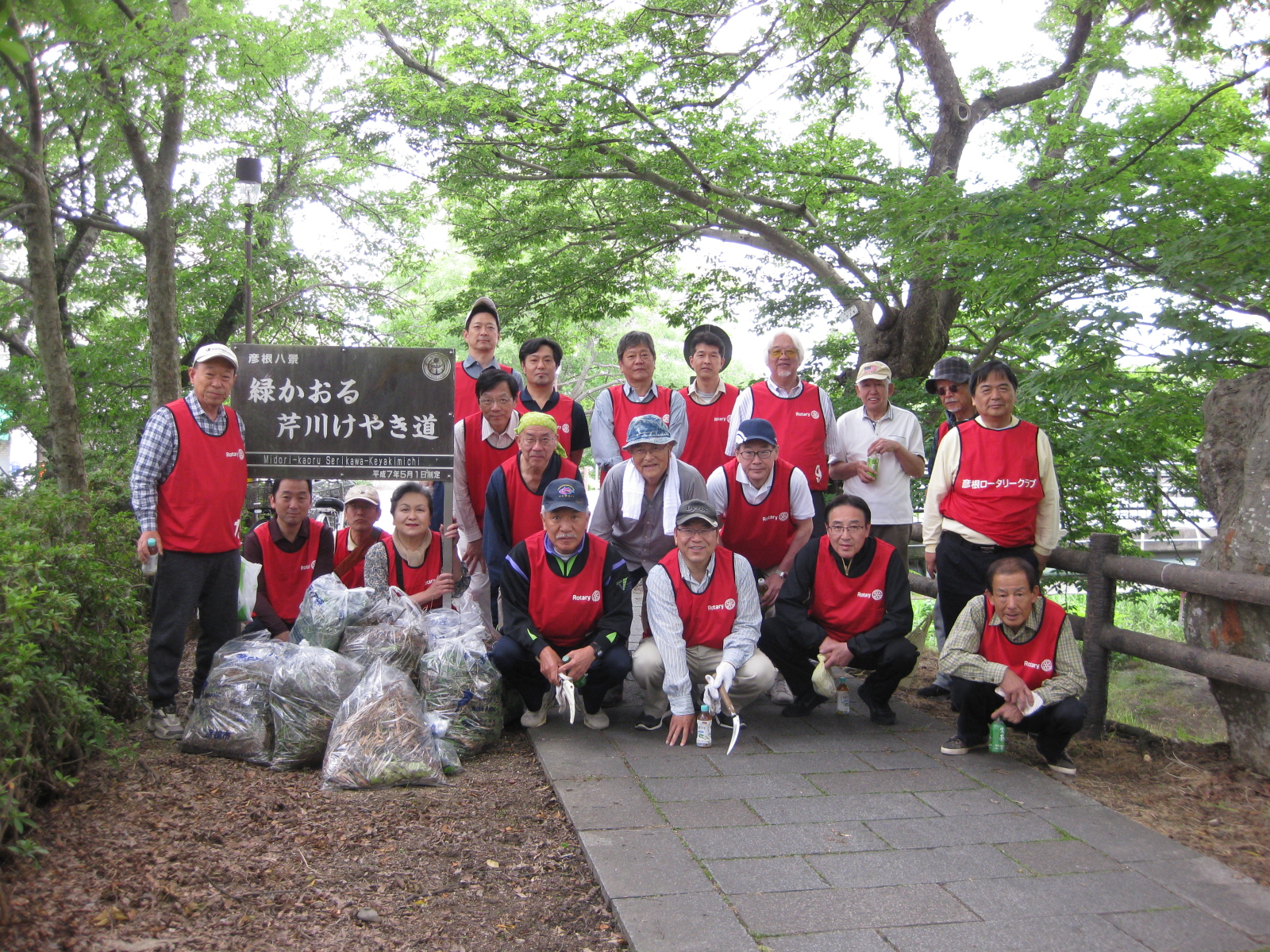 【社会奉仕】芹川堤「けやき道」清掃