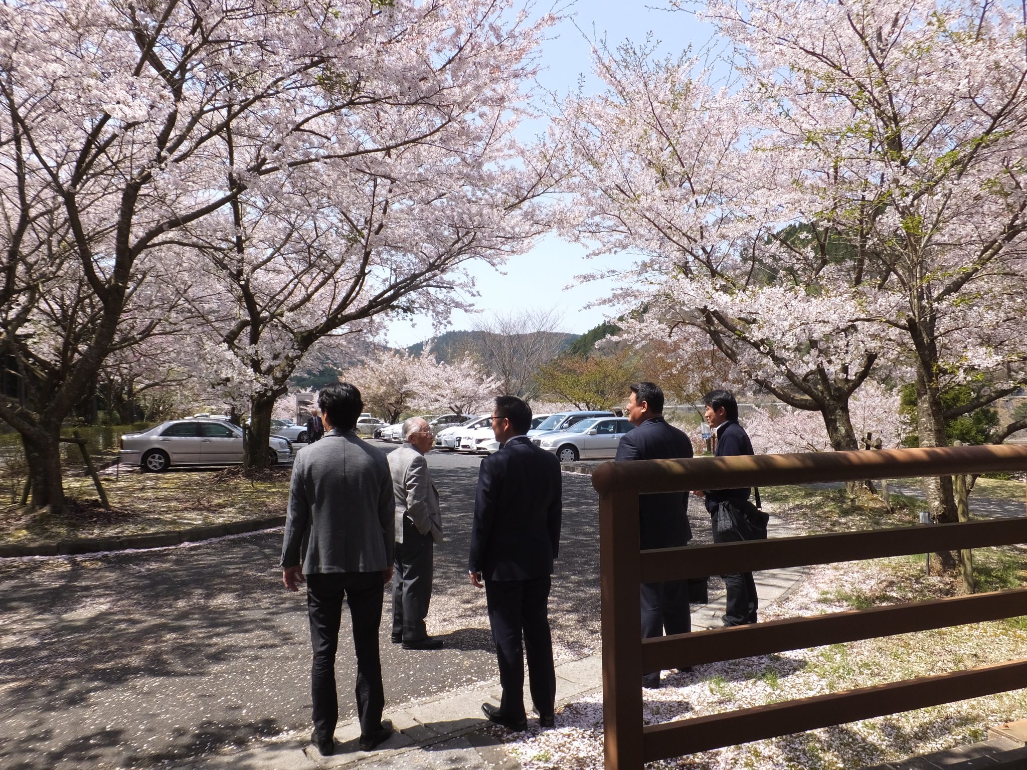 花見例会　2018年4月10日（火）