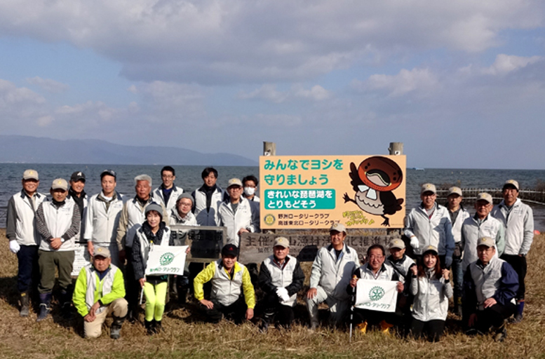 きれいなびわ湖をもう一度！11月12日、野洲のメンバーが湖岸にヨシを植えました！　　　　　　　　　
